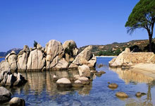 天涯论坛创业家园发贴：聊聊我的网上创业故事